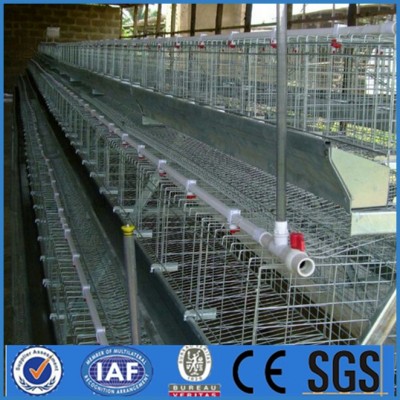 High demanding poultry battery cage laying hen