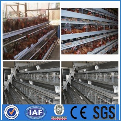 Poultry Cages/ Brooder Cages/ Layer Breeder Cages