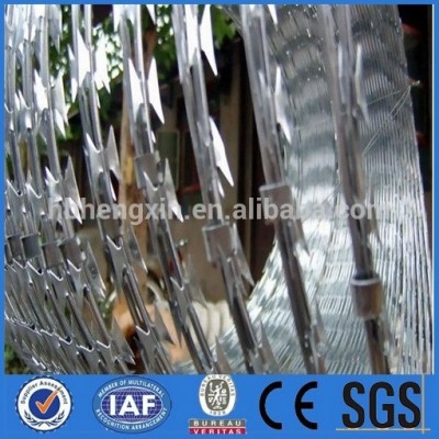 High Security Wire Mesh Fence for boundary wall/ Anti climb Razor Wire Mesh Security fence