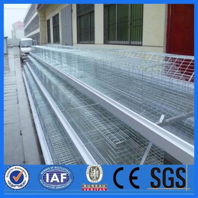 poultry farm automatic chicken layer cage/ layer poultry farms/battery cages laying hens