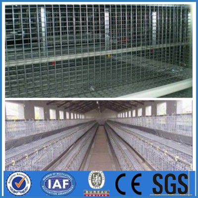meat broiler chicken cages for sale